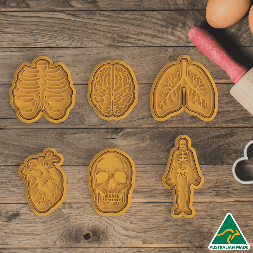 Australian Cookie Cutters Cookie Cutters Body Organs Set Cookie Cutter and Embosser Stamp